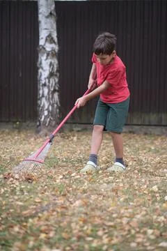 Young boy engaging in yard work, raking leaves with determination. Concept Stock Photos