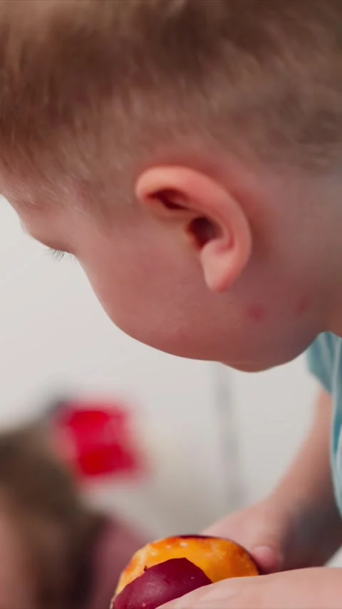 Young boy enjoying apple in close up profile shot with soft lighting showing Stock Footage 344790346