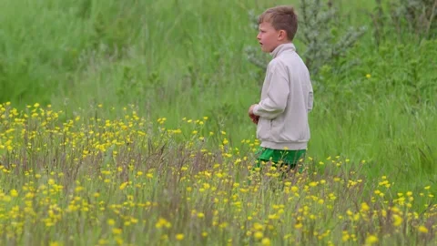 Young boy exploring nature. Walking through a summer wild meadow, pasture. Vidéo 243570851