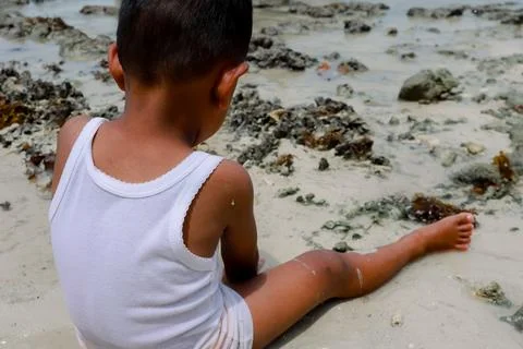 Young boy exploring the rocky beach shores on a sunny day outdoor Stock Photos