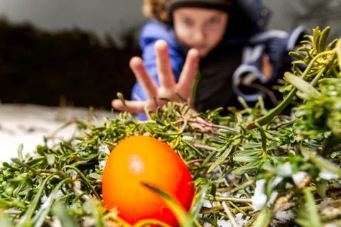 Young boy finding and picking up and easter egg from the ground Stock Photos