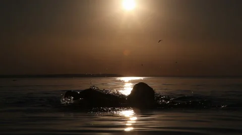 A young boy floats at sunset Stock Footage 66350640