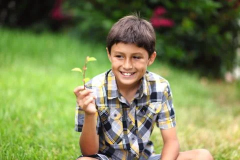 Young boy with flower Stock Photos