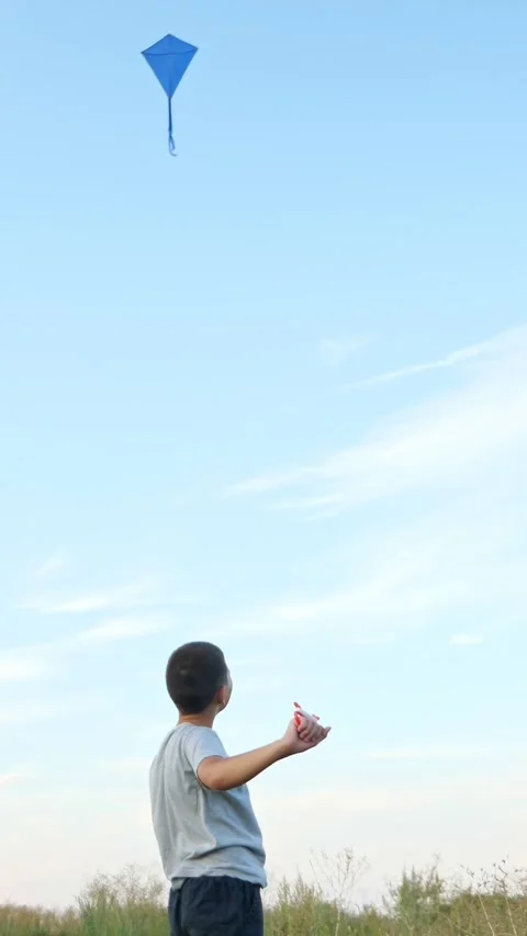Young boy flying a blue kite in a grassy field against a clear sky, enjoying a Stock-Footage 340844361