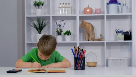 Young boy focused on doing homework at a desk with cats playing on shelves .. Stock Footage 333247393