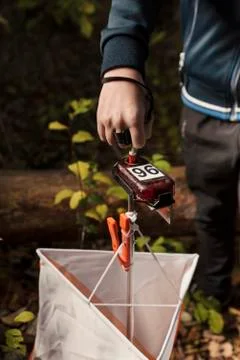 Young boy in forest checking to a control point in orienteering Stock Photos