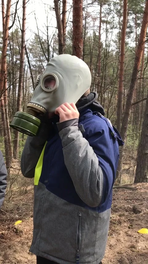 Young boy in forest Stock Footage 307135490