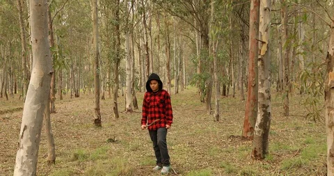 Young boy on forest hike looking at the camera and smiling 2 Stock Footage 121009031