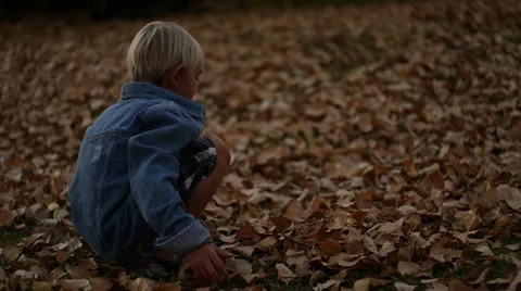Young Boy Gathering Leaves Stock Footage 56601476