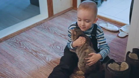Young boy gently holds striped feline. Boy affectionately cradles tabby cat Stock Footage 337726074