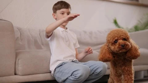 A young boy happily engaging with a playful dog while relaxing in a cozy living Stock Footage 312196058