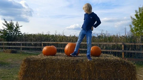 Young boy is having fun at pumpkin farm. Vídeos de archivo 118162179