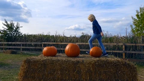 Young boy is having fun at pumpkin farm. Vídeos de archivo 118162184