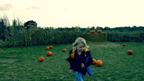 Young boy is having fun at pumpkin farm. Stock Footage 118546570