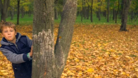 Young boy hiding behind the tree Stock Footage 98663375