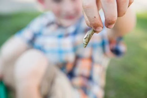 A young boy holding a small fish in his fingers. Stock Photos