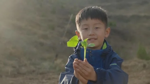 Young Boy Holding Small Green Plant Outdoors Stockbeeldmateriaal 339073051
