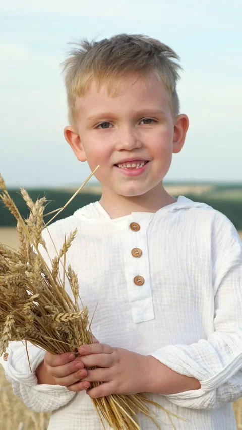 Young Boy Holding Wheat Sheaf, Sunlit Golden Stalks, Rustic White Shirt, Proud Stock-Footage 334886701