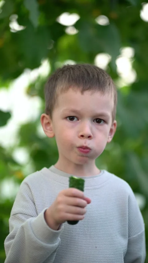 Young boy holds and bites a fresh cucumber outdoors amid green leaves Video stock 342139672
