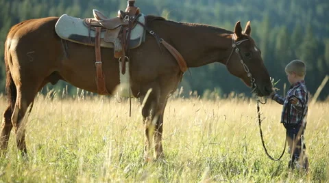 Young boy with horse Stock Footage 61670229