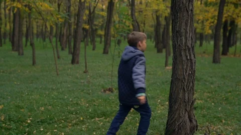 Young boy hugging tree in park Video stock 98663659