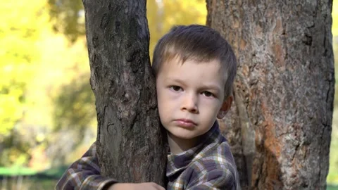 Young boy hugs tree trunk in autumn woods, yellow foliage behind, calm gaze at 動画素材 347681759