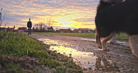 A young boy jumps into a puddle at sunset Stock Footage 145920308