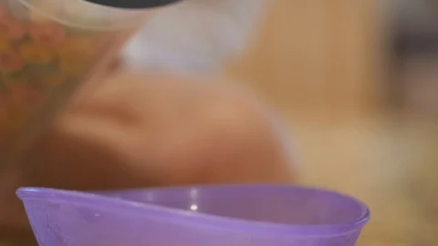 Young boy on kitchen counter pours bowl of cereal close up on purple bowl Stock Footage 86712488