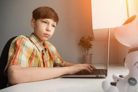 Young boy learning coding with laptop and robot Stock Photos