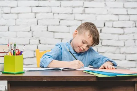 Young boy learning for school 스톡 사진