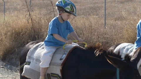 Young boy learns control on rural ride, Youthful rider navigates donkey through Stock Footage 321817475