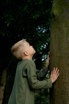 Young boy looking up tree trunk Stock Photos