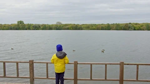 Young boy looks at the ducks on the river in autumn Stock Footage 161117669