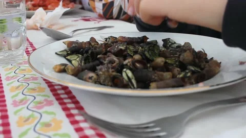 Young boy loves barnacles Stock Footage 237527677