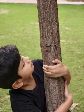 A young boy lovingly holding a tree, symbolizing care for nature, environmental  Stock Photos