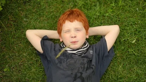 Young boy lying on grass in the park, slow motion. Enjoy nature. Stock-Footage 98027371