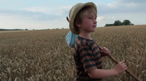 Young Boy Makes Decison at Corn Crossroads Stock Footage 26728182