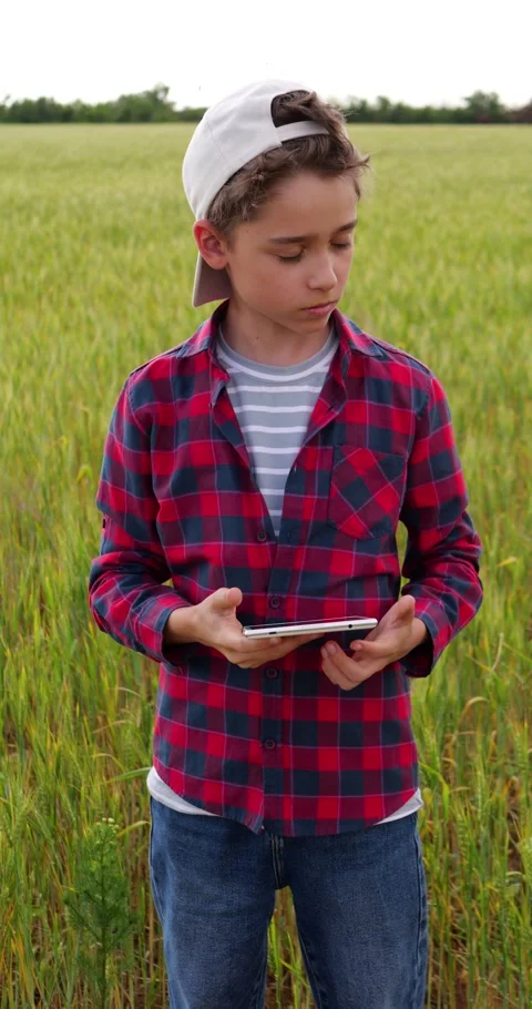Young boy monitors wheat crops with tablet in field, pointing toward plants Stock Footage 346472908