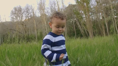 Young boy in nature Stock Footage 104914599