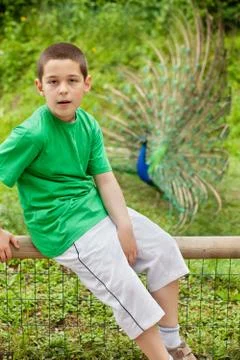 Young Boy With a Peacock in the Background 库存照片