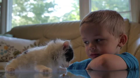 Young Boy - Petting, snuggling Kitten Cat 動画素材 63397331