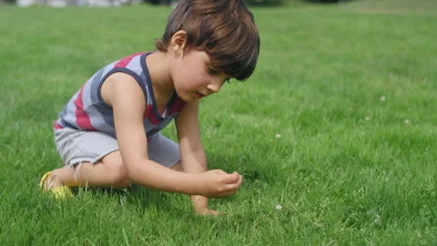 A young boy picks up a piece of fuzz off the grass and blows it into the air 動画素材 143622366