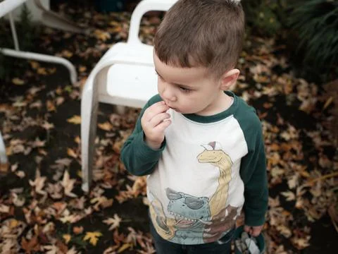 A young boy playing in the backyard on a warm day in late autumn Stock Photos