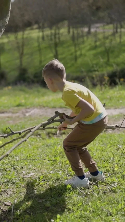 Young boy playing with branches in a park Stock Footage 327352079