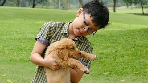 Young boy playing with dog ,slow motion. Stock Footage 90687923