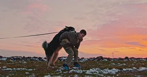 A young boy is playing with a dog at sunset - slow motion Stock Footage 146744207