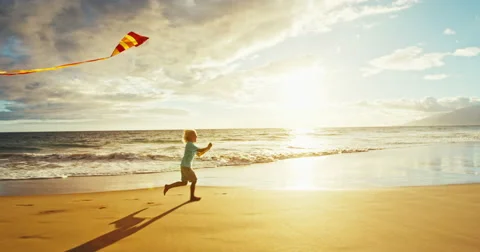Young Boy Playing with Kite Stock Footage 65473238