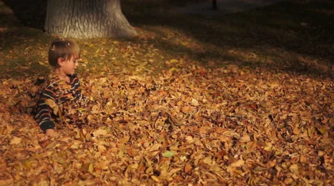 Young Boy Playing in Leaf Pile Video stock 50298736