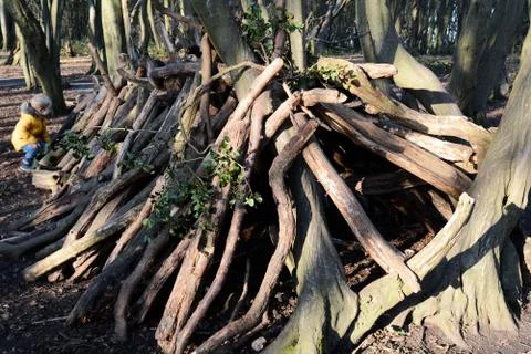 Young boy playing outside learning to build a den in the forest Stock Photos
