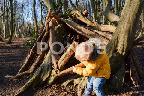 Young boy playing outside learning to build a den in the forest Stock Photos